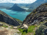 Besseggen, Jotunheimen National Park